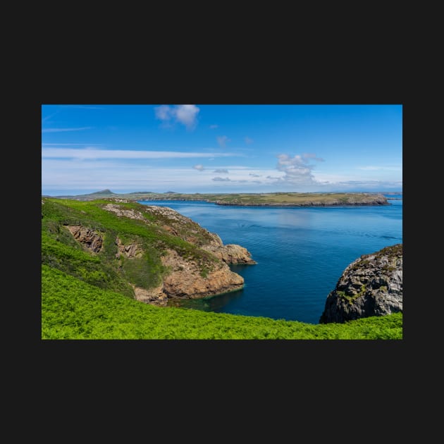 A  view from RSPB Ramsey Island, Pembrokeshire by yackers1