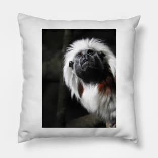 Cotton Top Tamarin Pillow