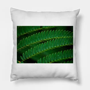 Serrated Pillow