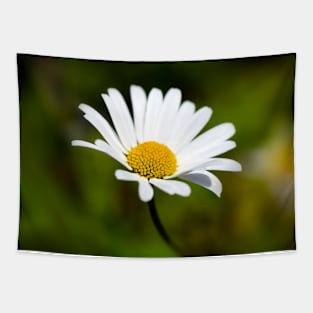 Single Daisy Tapestry