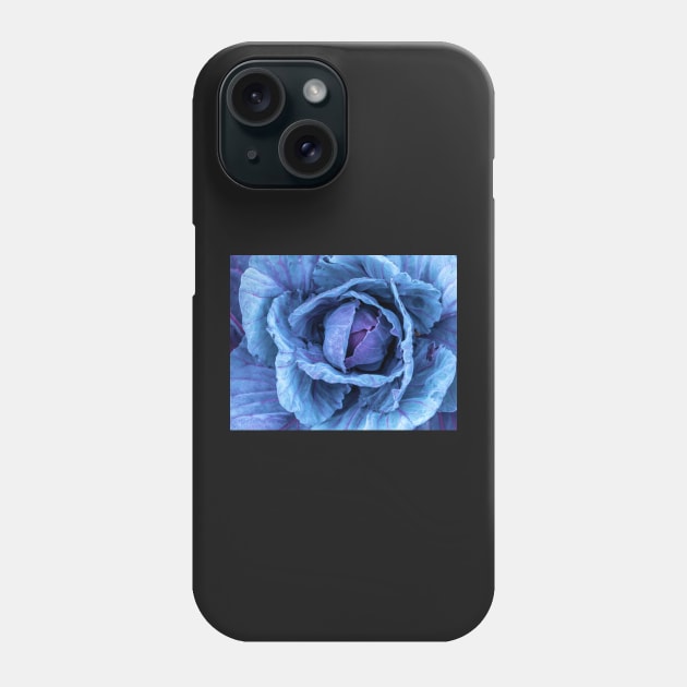 Purple Cabbage Phone Case by jvnimages