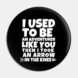 I used to be an adventurer like you Pin