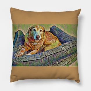 Golden Retriever Chillin Pillow