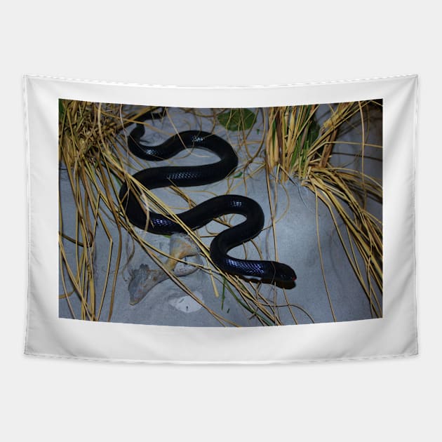 Black Snake Tapestry by Cynthia48