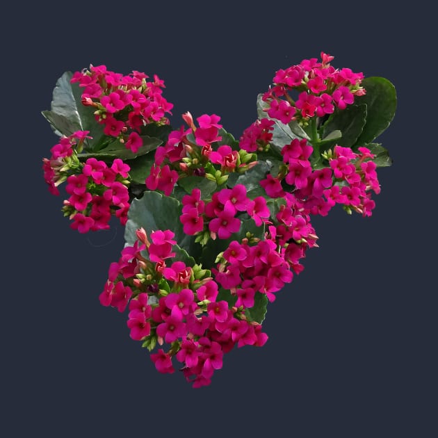 Kalanchoe - Kalanchoe Heart by SusanSavad