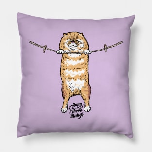 Hang in There Baby Persian Cat Pillow