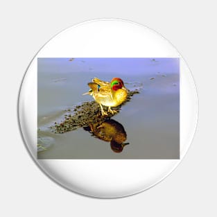 Green Wing Teal Duck Pin