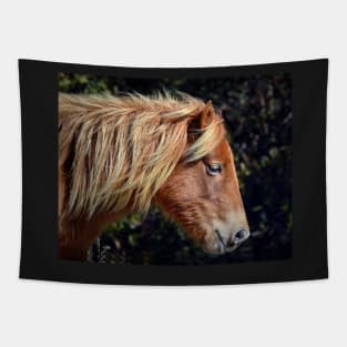 Assateague Pony Portrait Tapestry