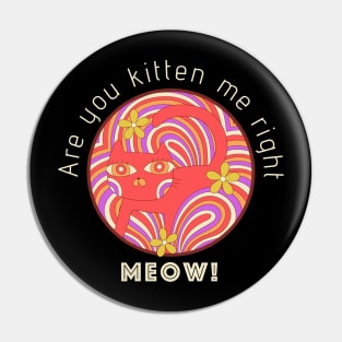 Are you kitten me Pin