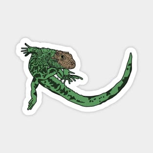 Green Iguana Magnet