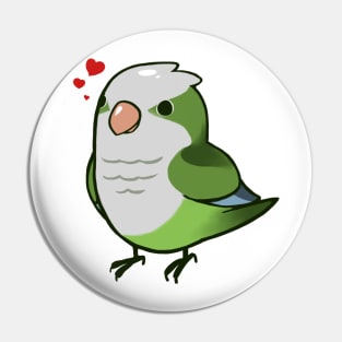 Quaker Parrot 1 Pin