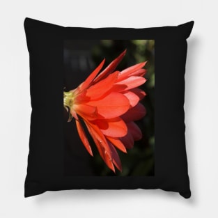 Red Zygo Flower in Profile Pillow