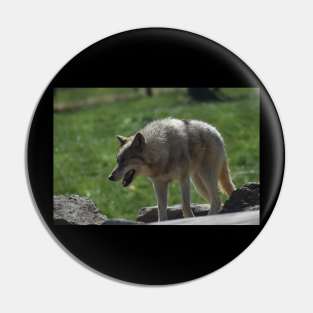 Wolf Pin