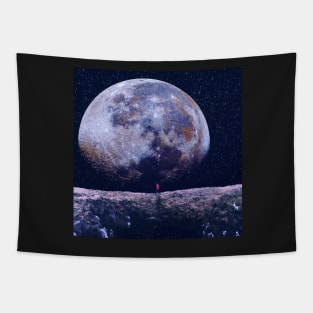 Moon Gazing Tapestry