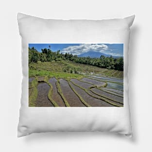 Rice Terraces Pillow