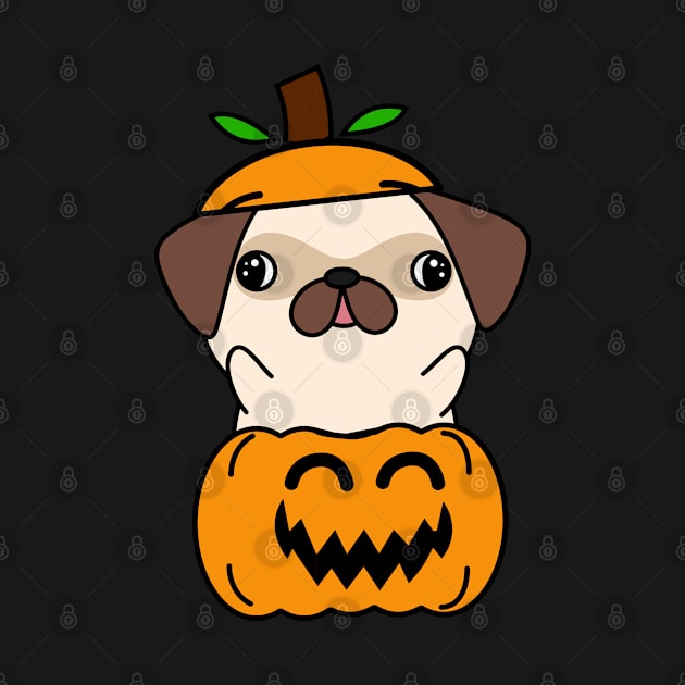 Funny pug is in a pumpkin by Pet Station