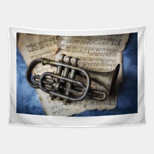 Old Weathered Horn On Sheet Music Tapestry