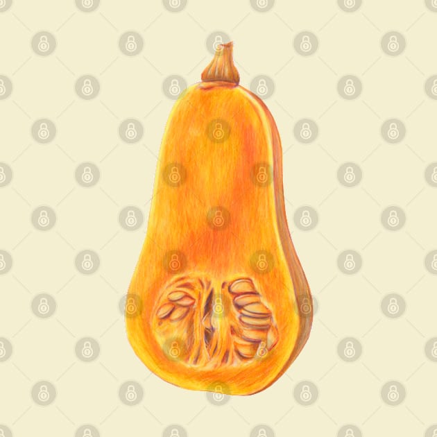 Butternut Pumpkin by VeraAlmeida