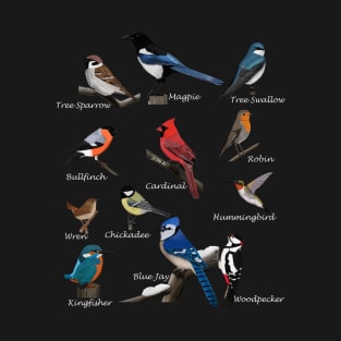 Garden Birds Cardinal Blue Jay Hummingbird Robin Wren Finch T-Shirt