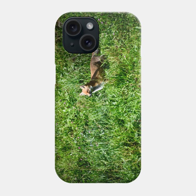 Fox Hunt / Swiss Artwork Photography Phone Case by RaphaelWolf