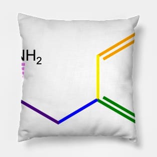 Adderall Molecule Rainbow Chemistry Pillow