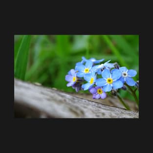 Forget-Me-Not T-Shirt