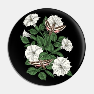 Moonflowers and sphinx moths Pin