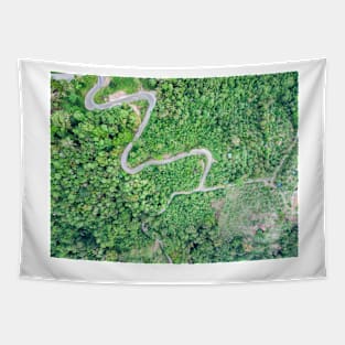 Aerial view of curvy mountain road through a jungle Tapestry