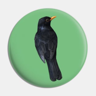 Blackbird Pin