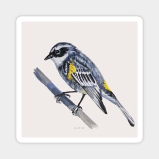 Yellow Rumped Warbler painting Magnet