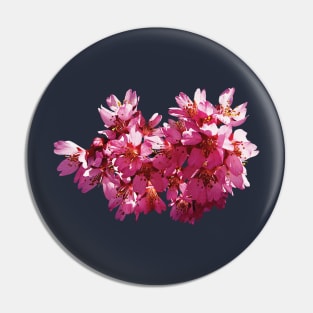 Cherry Blossoms Pin