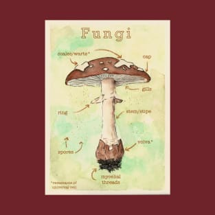 vintage fungi poster T-Shirt