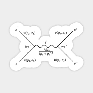 Feynman Diagram Magnet