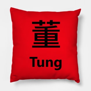 Chinese Surname Tung 董 Pillow