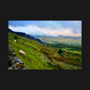 Sheep in Snowdonia T-Shirt