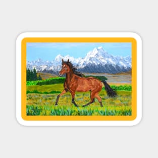 A brown horse and Mount Cook, New Zealand Magnet