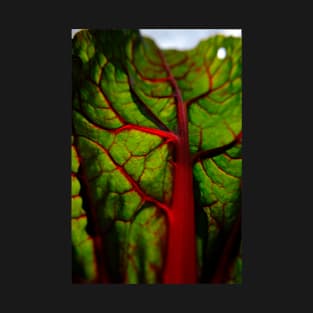 Radiant Swiss Chard Leaf T-Shirt