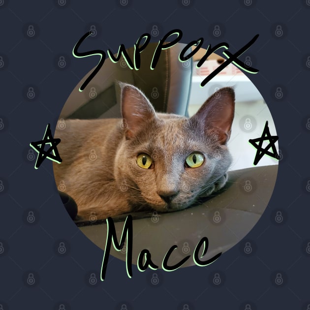 Mace the Cat by Bufo Boggs