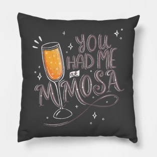 You Had Me at Mimosa Pillow