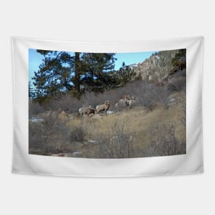 Bighorn Diners Tapestry