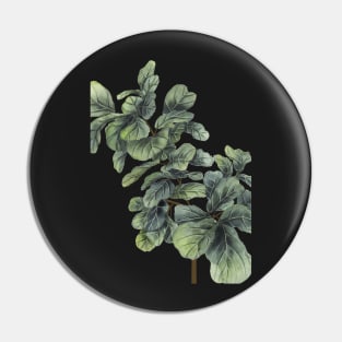 Fiddle Leaf Fig Tree Pin