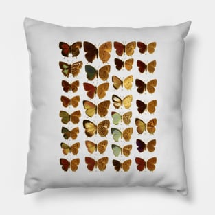 butterfly Pillow