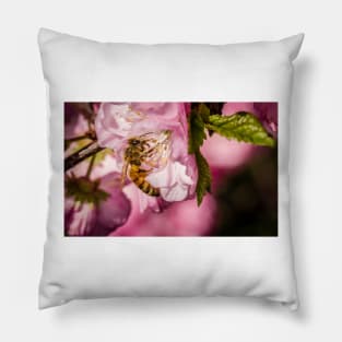 Bee On Flowering Almond Pillow