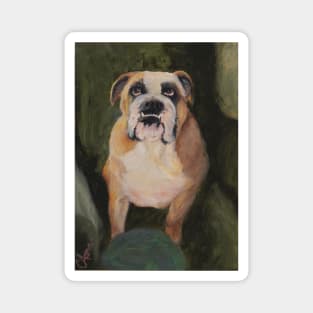 English Bulldog Ruby Rose Magnet