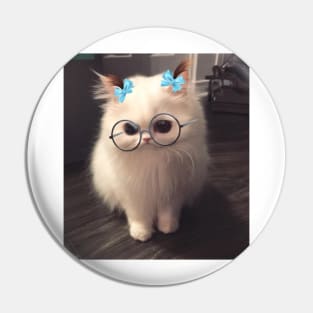 This snapchat filter on my cat Pin