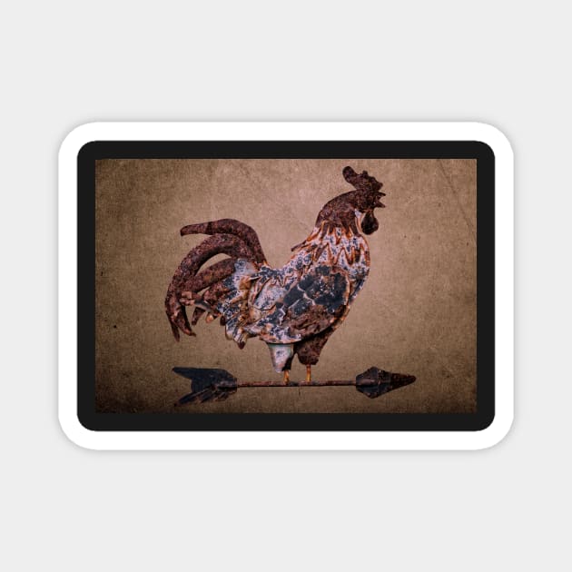 Rooster Weather Vane Magnet by JimDeFazioPhotography