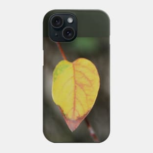 Red and Yellow Leaf Phone Case