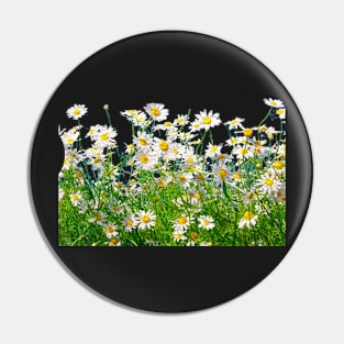 Daisy Pin