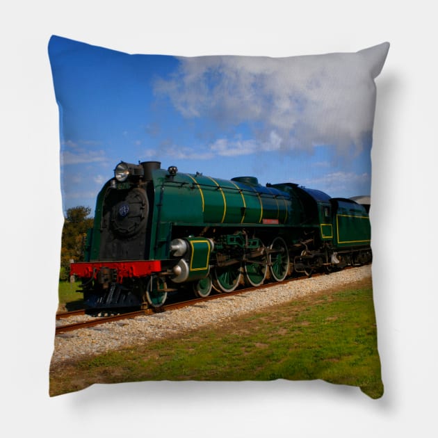 Australian Railway Pillow by jwwallace