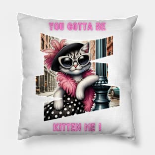 You gotta be kitten me! Pillow